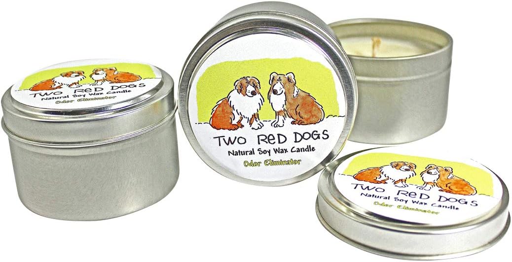 All Natural Odor eliminator candle- Fresh Citrus Fragrance - 3-6oz Natural Soy Candles