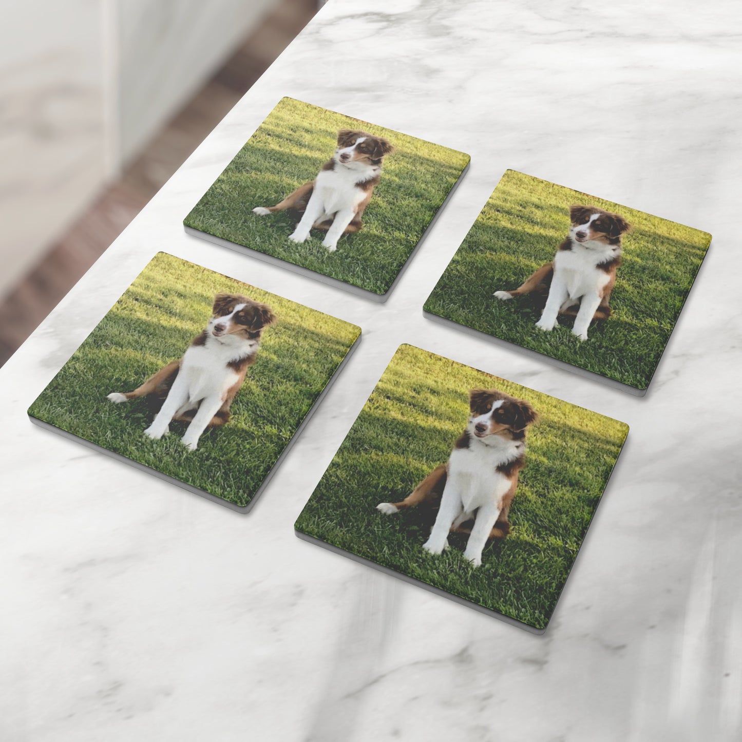 Custom Photo Set of 4 Stone Coasters