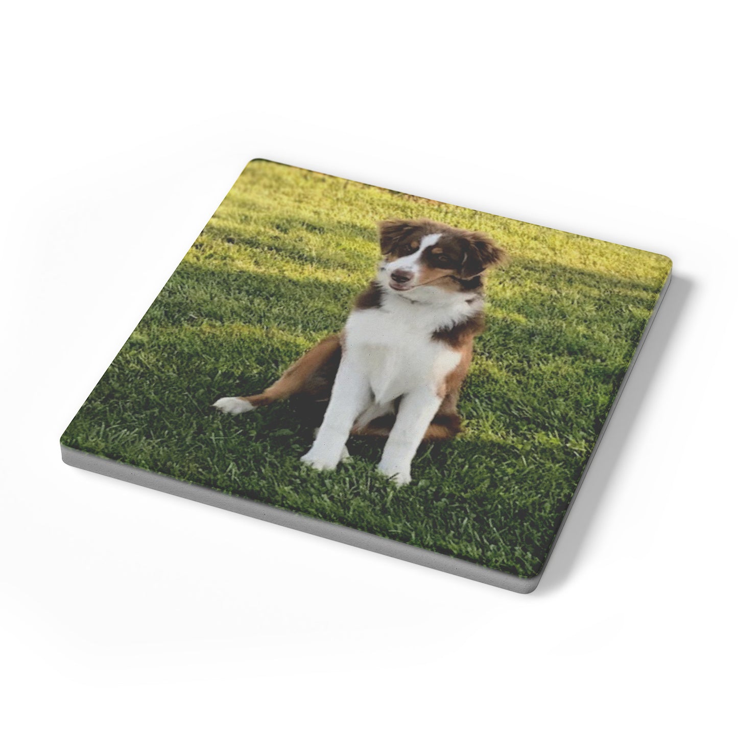 Custom Photo Set of 4 Stone Coasters