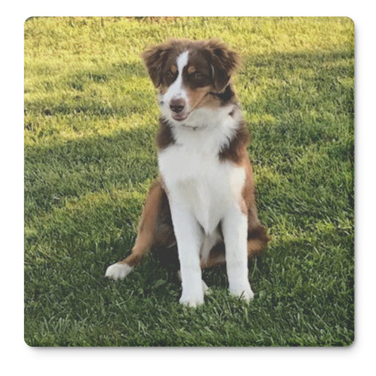 Custom Photo Set of 4 Stone Coasters