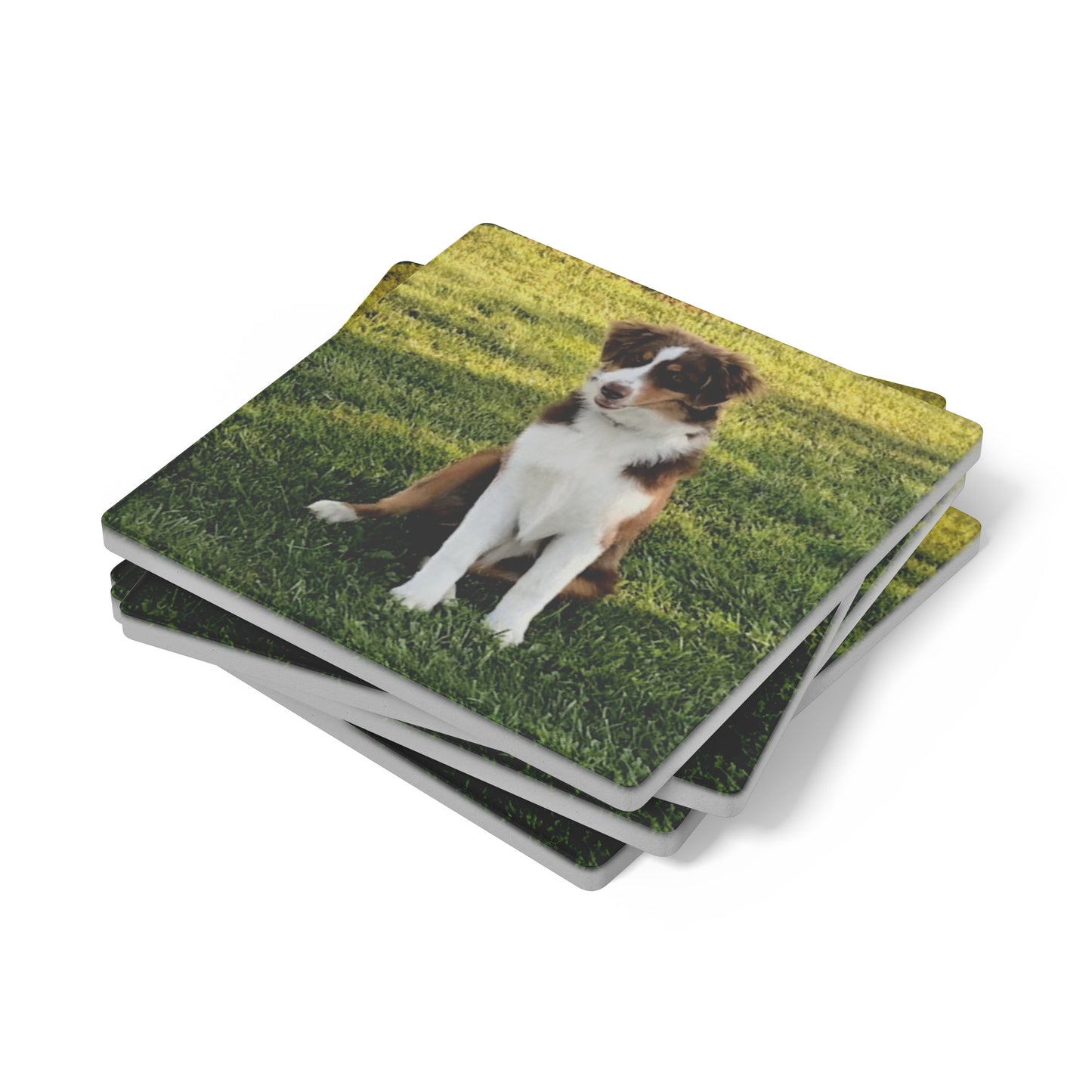 Custom Photo Set of 4 Stone Coasters