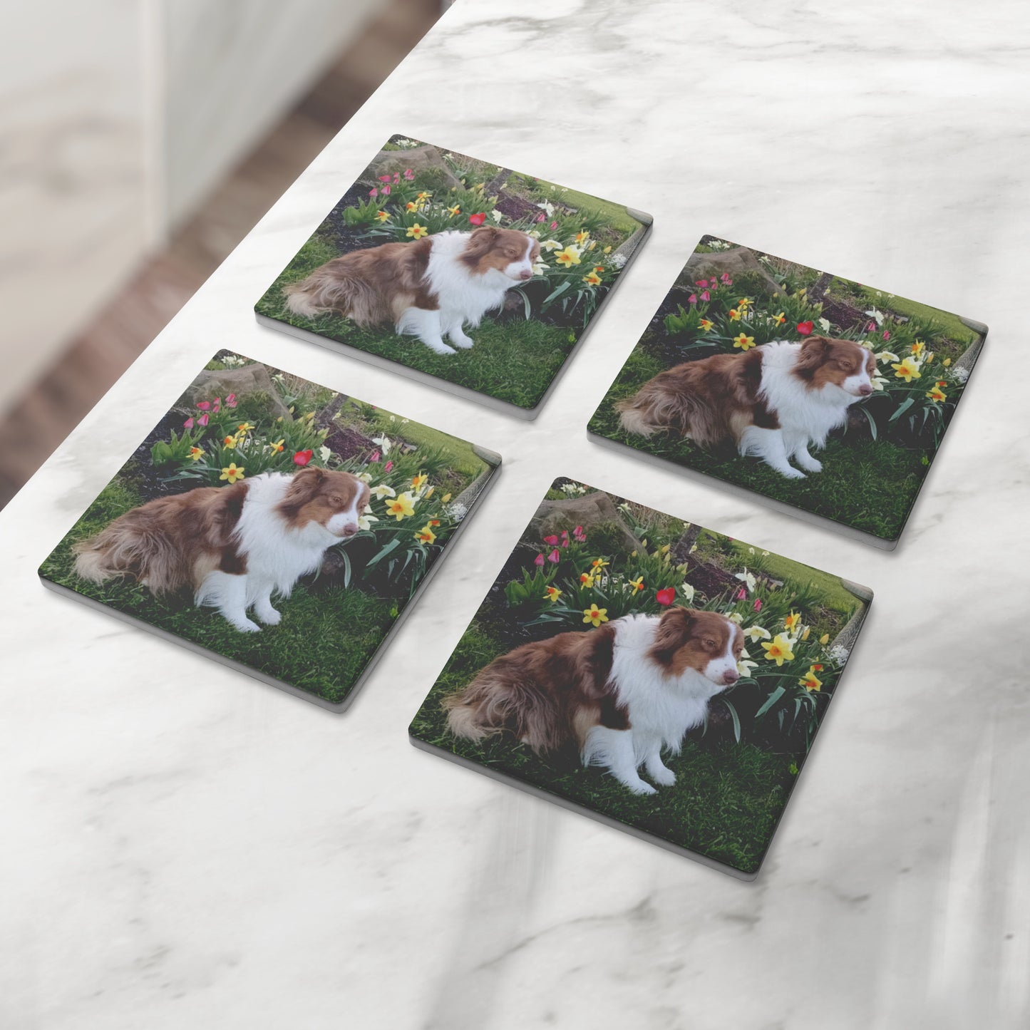 Custom Photo Stone Coasters - Set of 4 - Great Gift!