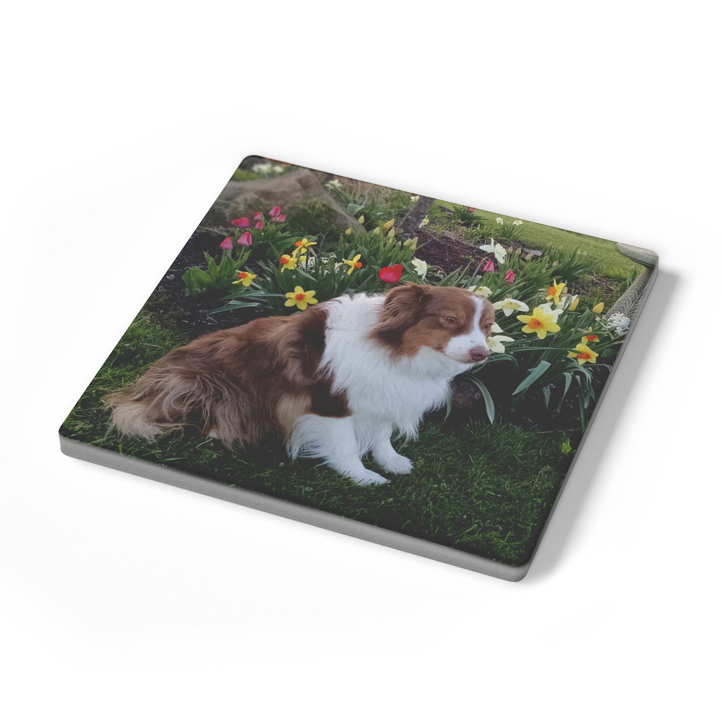 Custom Photo Stone Coasters - Set of 4 - Great Gift!
