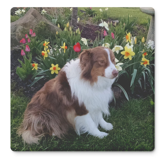 Custom Photo Stone Coasters - Set of 4 - Great Gift!