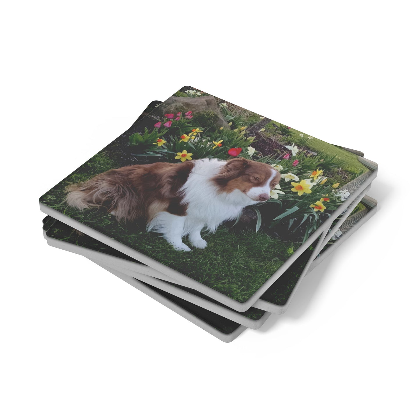Custom Photo Stone Coasters - Set of 4 - Great Gift!