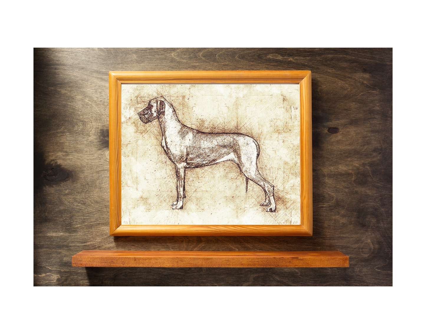 Great Dane Art Print - Da Vinci style Sketch - 11 x 14" UNFRAMED Print