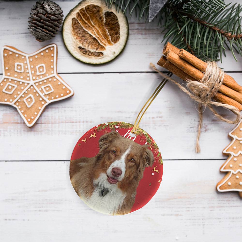 Photo Ornament - Pet Ornament -Customizable - Personalized  - Great Gift, Pet Memorial, Family Portrait (Oval)