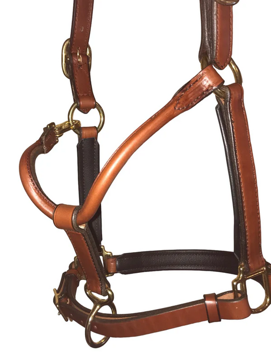 Luxury Leather Padded Horse Halter