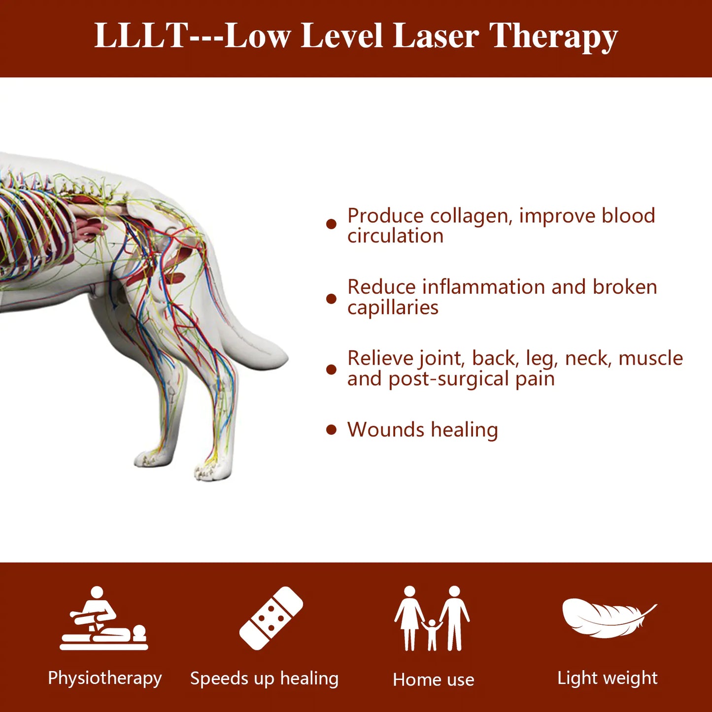 Red Light Therapy for Pets & Horses - Handheld Cold Laser Therapy for Muscle&Joint Pain from Pet Arthritis Infrared Light Therapy