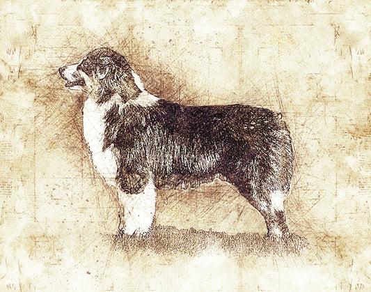 βDog Breed Art Print β 11x14 Leonardo da Vinci Style Sketch β Choose Your Breed: Great Dane, Dachshund, Golden Retriever, German Shepherd, Aussie, Heeler & Moreβ