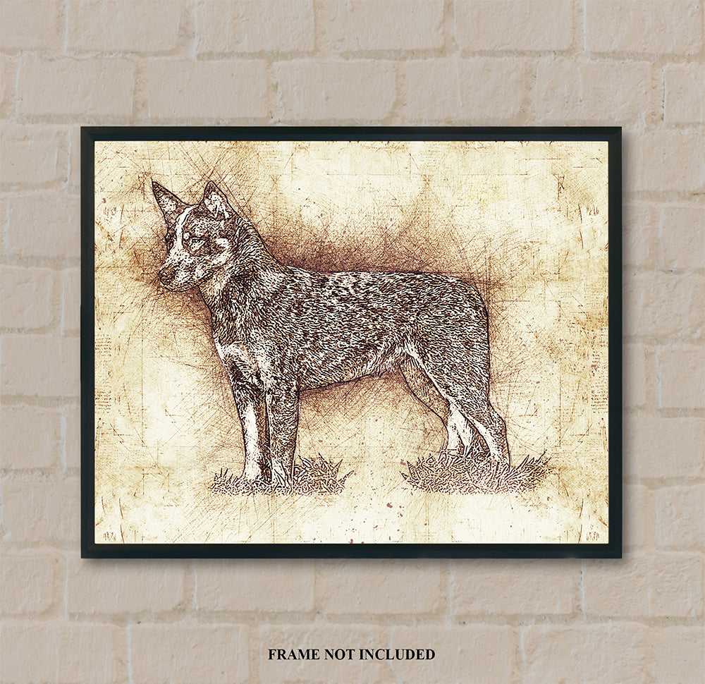 Australian Cattle Dog - Heeler - Da Vinci Style Art - 11 x 14" UNFRAMED