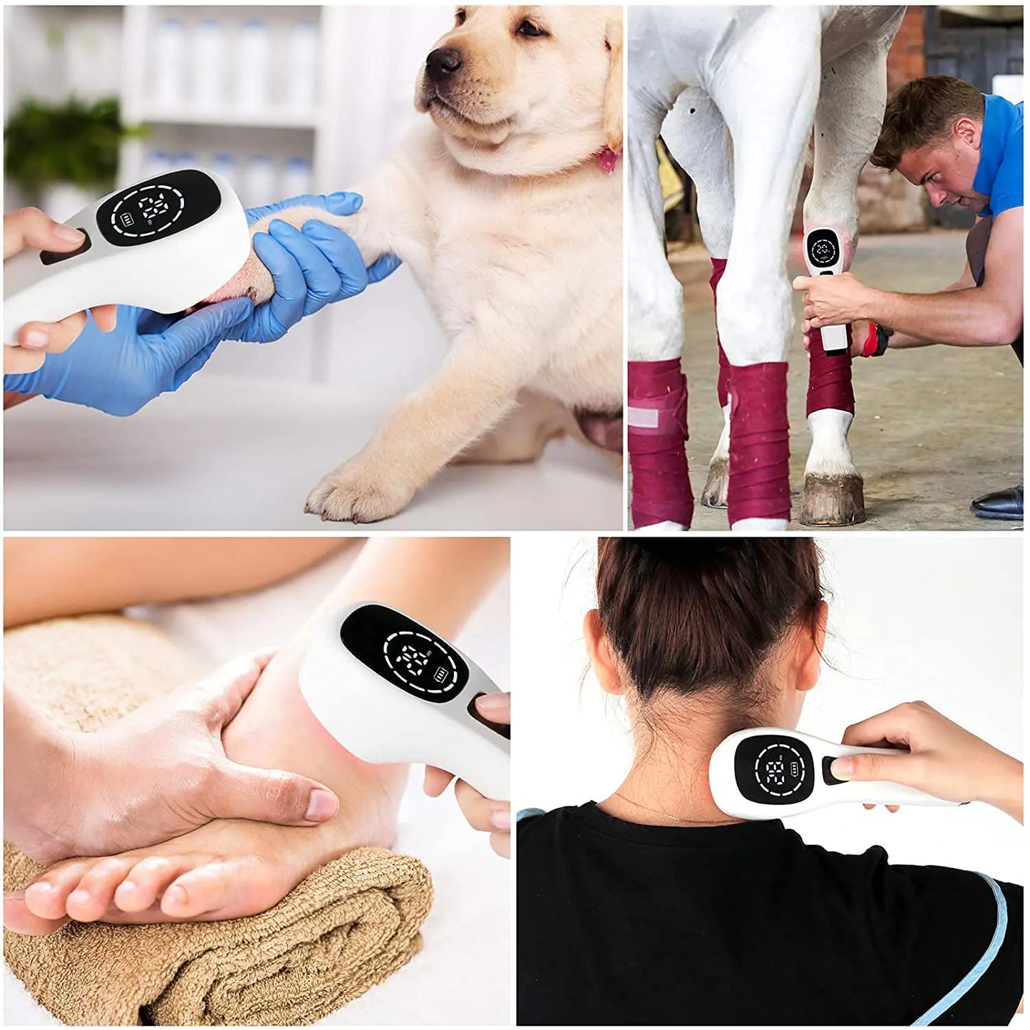 Red Light Therapy for Pets & Horses - Handheld Cold Laser Therapy for Muscle&Joint Pain from Pet Arthritis Infrared Light Therapy
