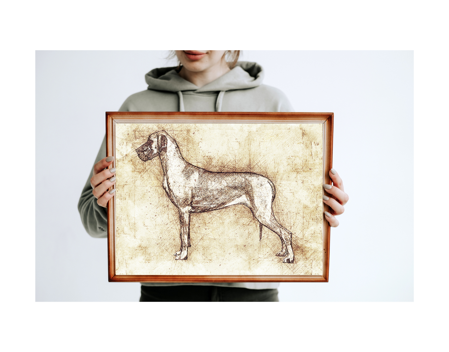 Great Dane Art Print - Da Vinci style Sketch - 11 x 14" UNFRAMED Print
