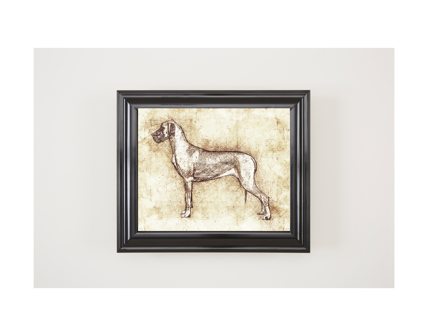 Great Dane Art Print - Da Vinci style Sketch - 11 x 14" UNFRAMED Print