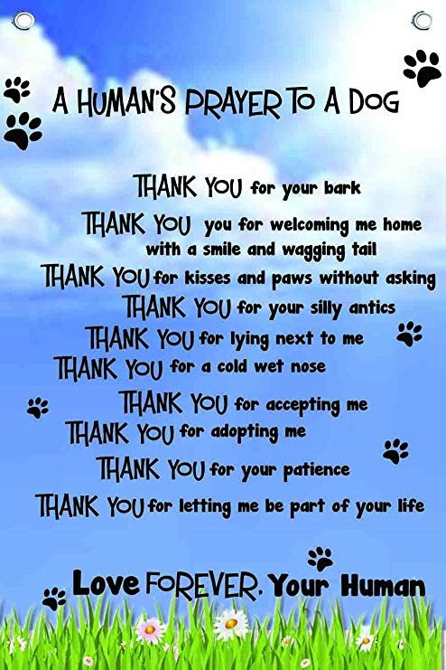 A Human's Prayer to a Dog - 8 X 10" Ready to Frame