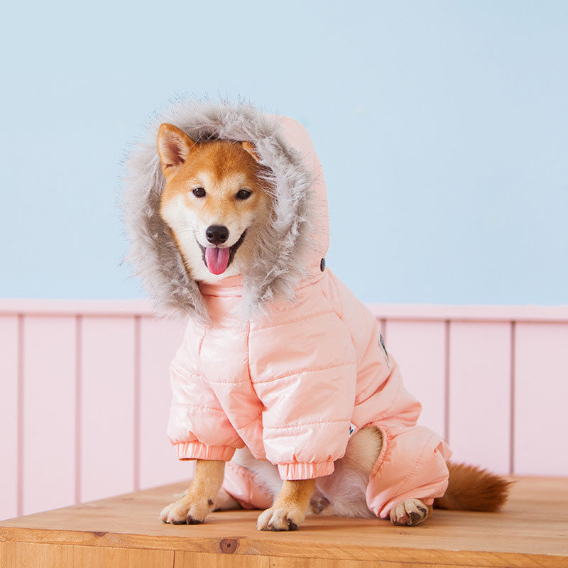 Pet dog clothes