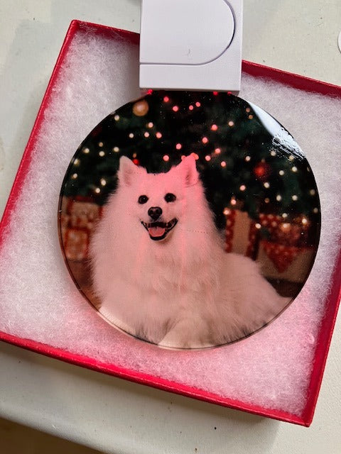 Custom Pet Photo LED Acrylic Ornament | Light-Up Personalized Dog Portrait Keepsake