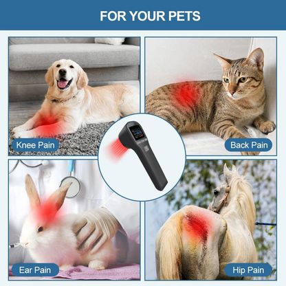 Pets Laser Therapy Device