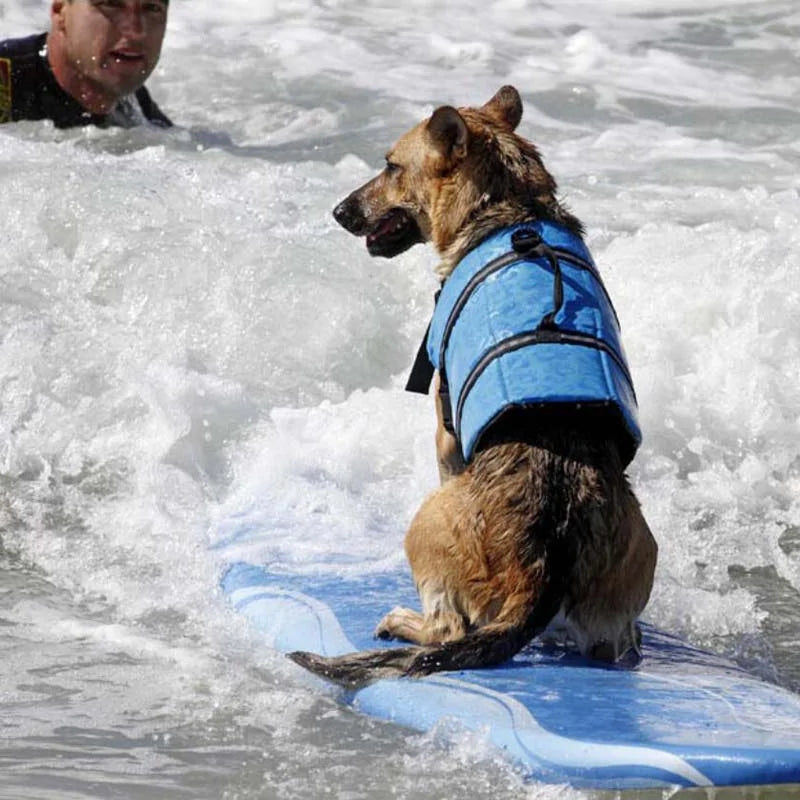 Premium Dog Life Vest