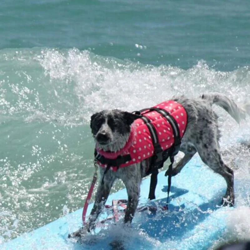 Premium Dog Life Vest