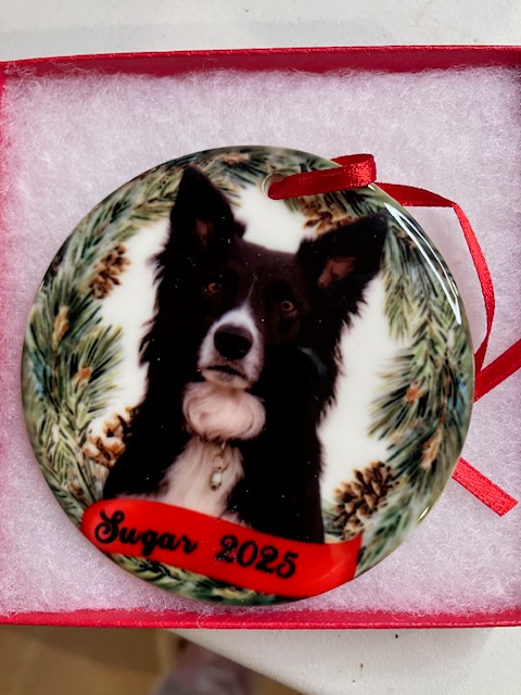 LED Dog Christmas Ornamen