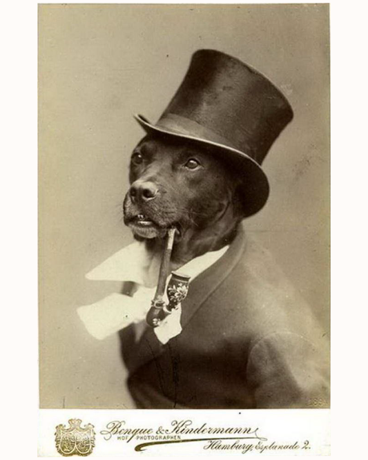 Dog Smoking Pipe - Art Print