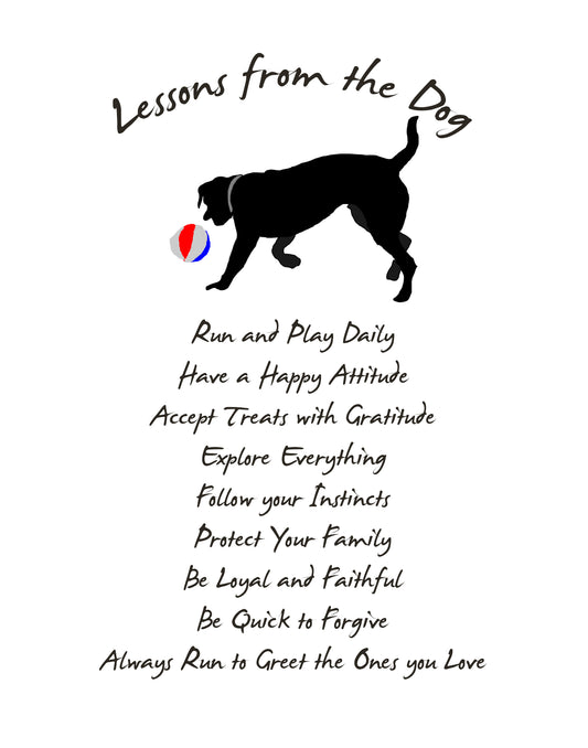 Lessons From a Dog - UNFRAMED 11 x 14" Print